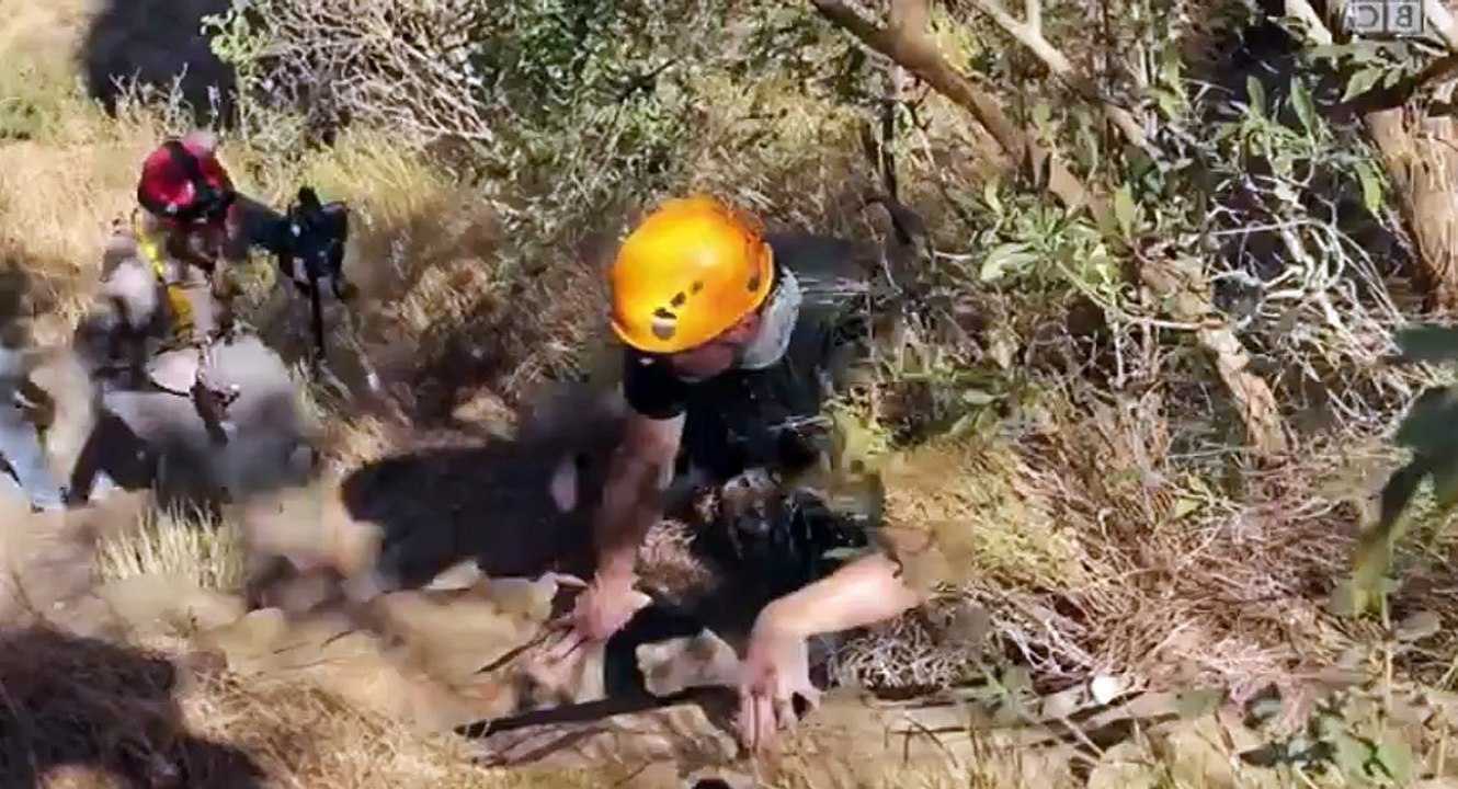 Earth's Natural Wonders S02 - Ep03 Surviving Against The Odds -. Part 02 HD Watch