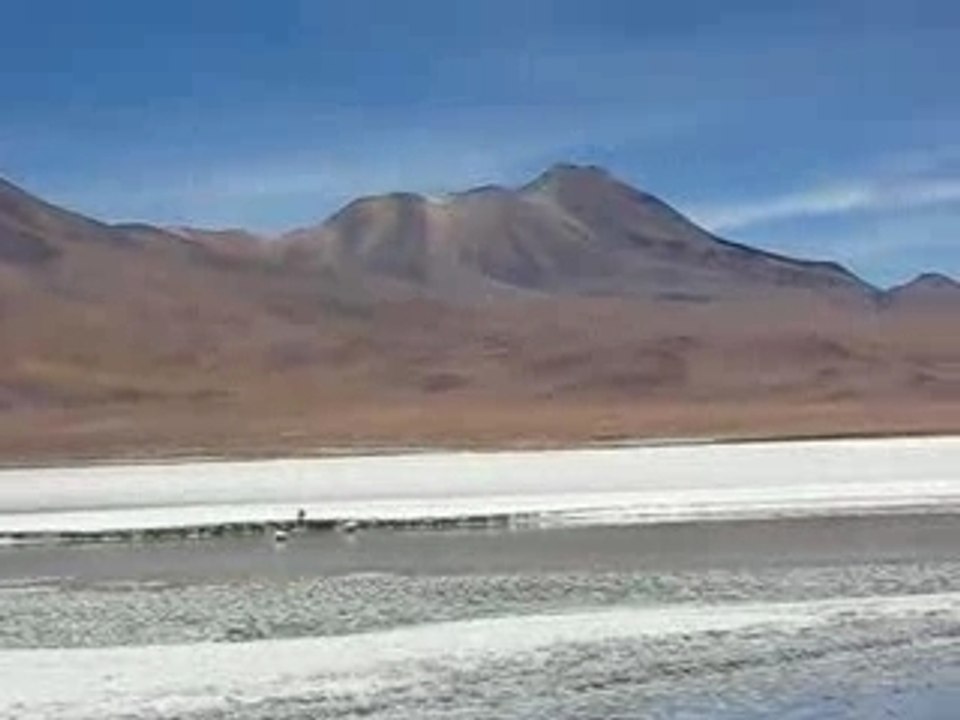 laguna blanca - sud Lipez - bolivie