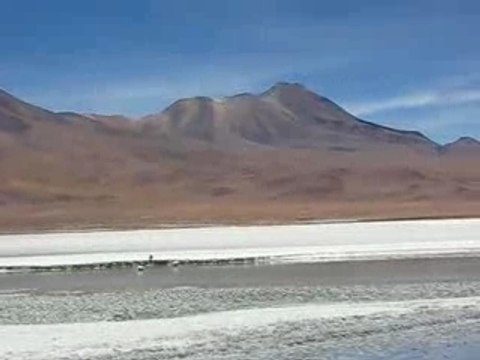 laguna blanca - sud Lipez - bolivie