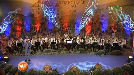 Andrei Girel - Festivalul „Strugurele de aur” - TVR 3 - 06.09.2018