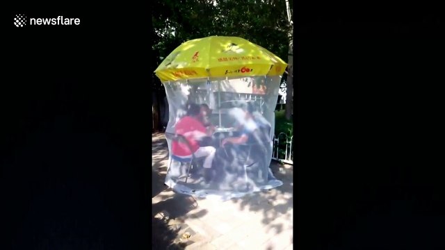 Chinese mahjong players set up mosquito net to avoid insects during game