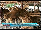 Kreasi Patung Kuda dari Limbah Kayu Bakar