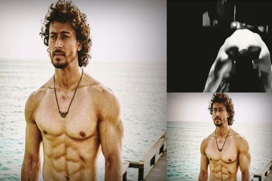 TIGERSHROFF