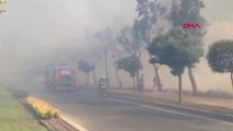 İzmir İzmir'de, Yol Kenarındaki Otluk Alanda Yangın