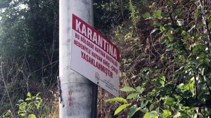 Gölcük'te şarbon şüphesine geçici karantina - KOCAELİ