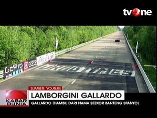 Kekuatan 'Banteng Petarung' Produksi Lamborghini
