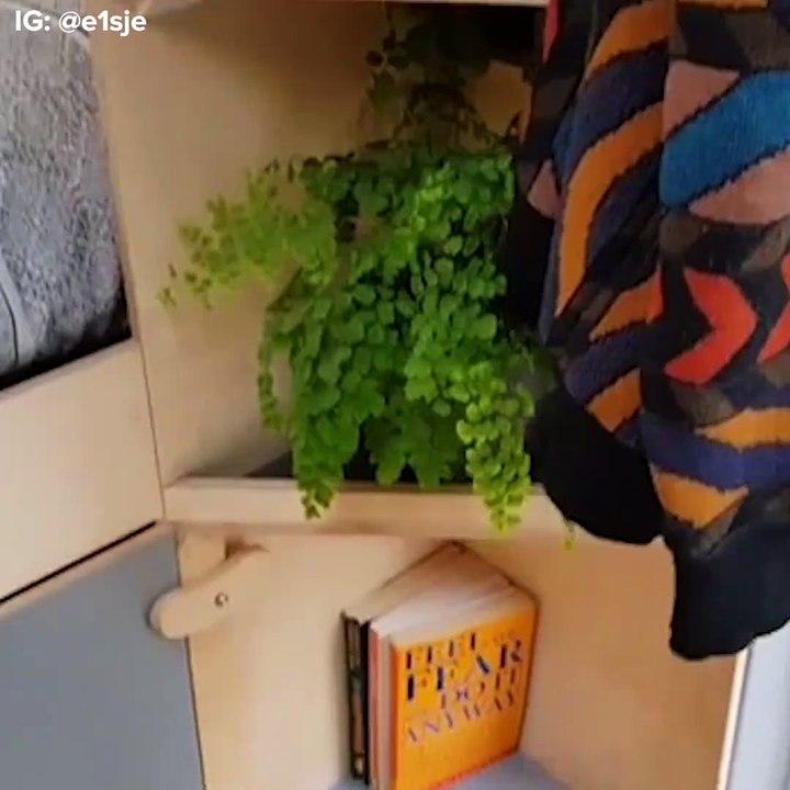 These van conversions are better than my actual house 