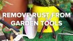 Transform your garden with these easy tips and tricks!