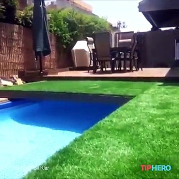 Build a pool like this one, and you don't have to sacrifice yard space!Check out the full project: