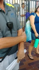 Woman and Service Dog Denied Entry into Game