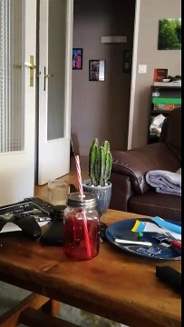 Hilarant : ce chat va chercher la balle comme un chien