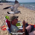 This is why I hate seagulls...Follow Howlers Presents for more!