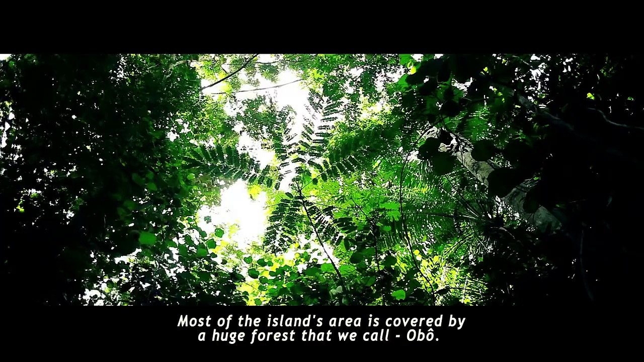 Amazing promotional video of São Tomé and Príncipe#holidaysinsaotome #saotomeandprincipe #dreamdestination #everydayafrica #hotelsinsaotome #cheapaccommodation