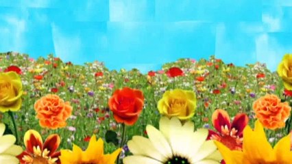 Charlie and Lola  S3E21 I Am Making a Craze