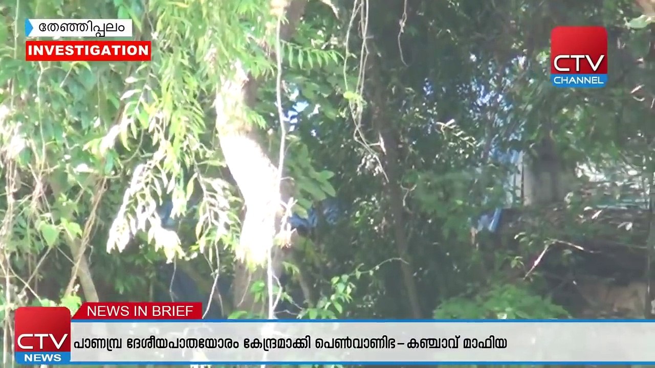 തേഞ്ഞിപ്പാലത്ത് പട്ടാപകൽ പെൺവാണിഭം നടക്കുന്നു... 