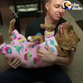 Happy Pit Bull Dog Loves It When His Dad Babies Him | The Dodo Pittie Nation