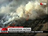 Kebakaran Hutan di Logan Country Meluas Hingga 2 Kilometer