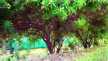 دخلنا قصر صدام حسين و وجدنا العجائب داخل القصر