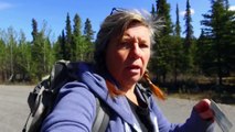 I Meet Mama Grizzly & Cub on a Solo Hike in Denali National Park, Alaska!