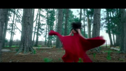 Theme Of Valentine Vibes Mashup _ Dj SRY latest Hindi Movie Video Song