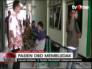 Sejumlah Warga Mojokerto Terjangkit Demam Berdarah