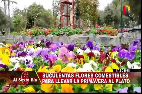 Estos son los deliciosos platillos que usan flores como ingrediente
