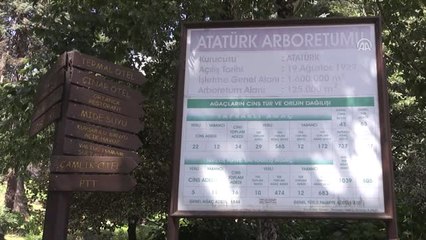 Türkiye'nin İlk Arboretumu 89 Yaşında - Yalova