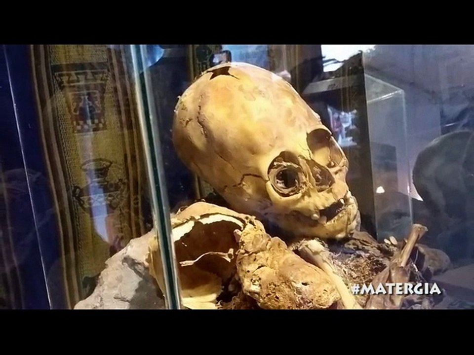 Il museo dell' alieno Waiky