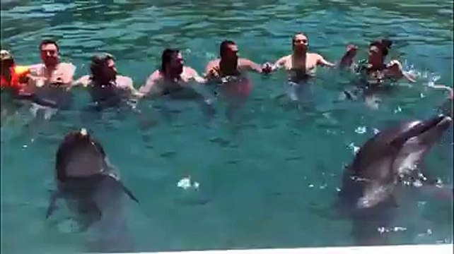 Muğla'da vatandaşlarla birlikte horon tepen yunuslar