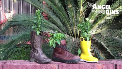 Repurpose your shoes - Angel Bins