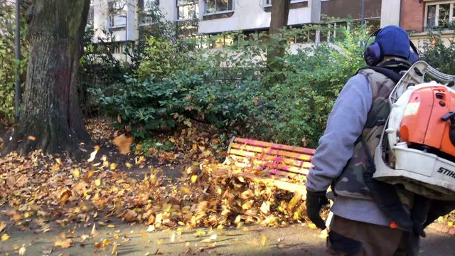 Le ramassage des feuilles mortes à Lille