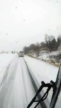 Un chameau apercu sur une autoroute en pleine tempête aux Etats-Unis