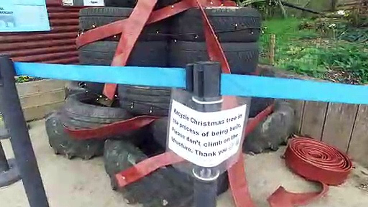 The Green Zoo's Christmas Celebrations!