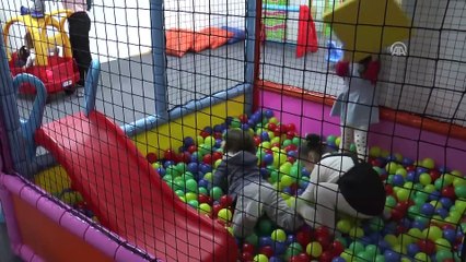 Türkiye Maarif Vakfı'nın Üsküp'teki anaokulu eğitime başladı - ÜSKÜP