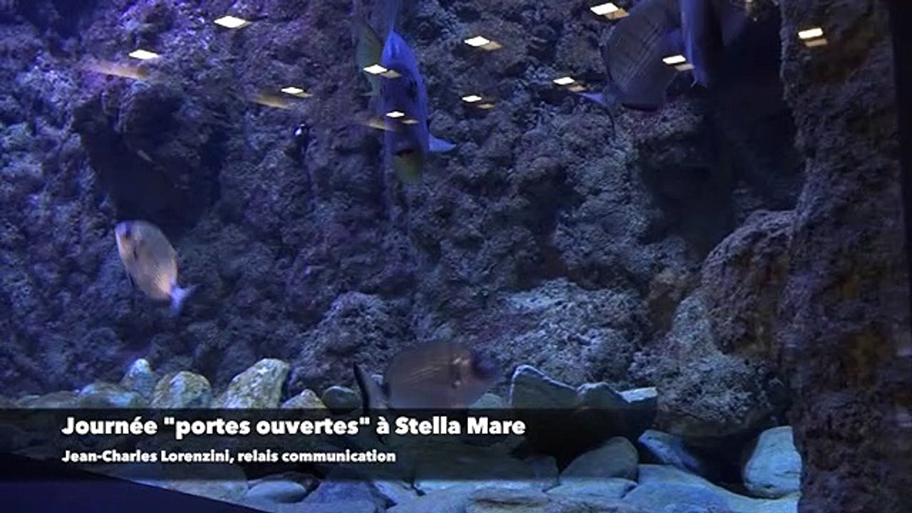 Journée "portes ouvertes" à Stella Mare