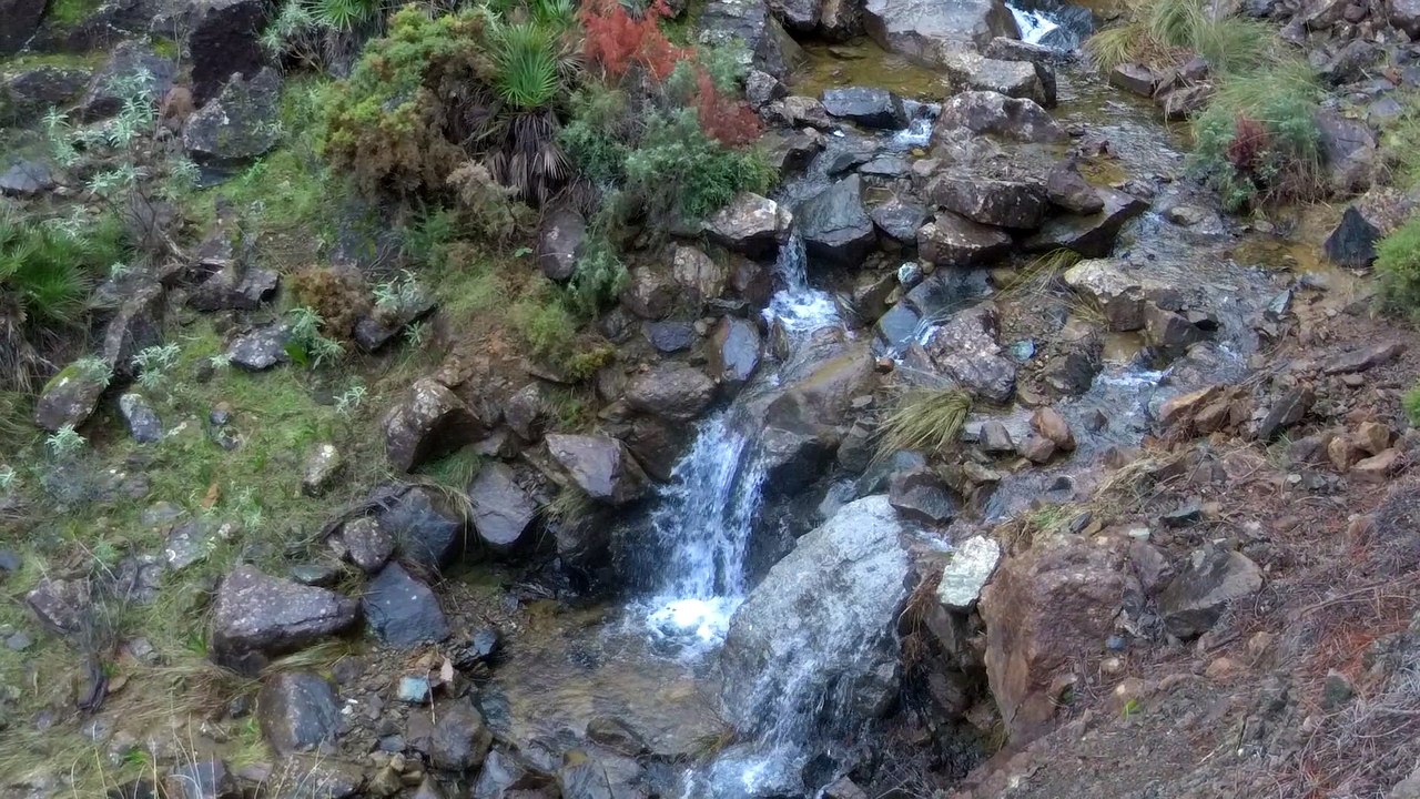 El Reino del Agua