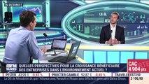 Année noire pour les petites capitalisations, en particulier sur le marché français - 20/11