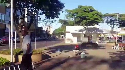 Decoração natalina começa a ser montada