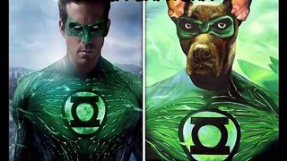 Marvel&Dc Superheroes In Real Life As Dogs Will Make Your Day Brighter