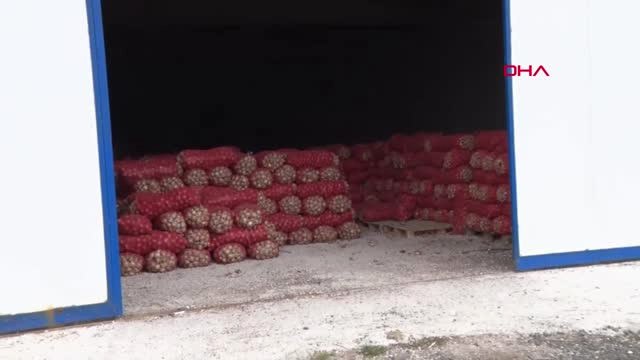 Ankara'da 3 Bakanlık Yetkililerinden 'Soğan' Denetimi-2