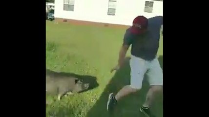 ESSAYE DE NE PAS RIRE # 7 -   Les Meilleurs Trolls Compilation