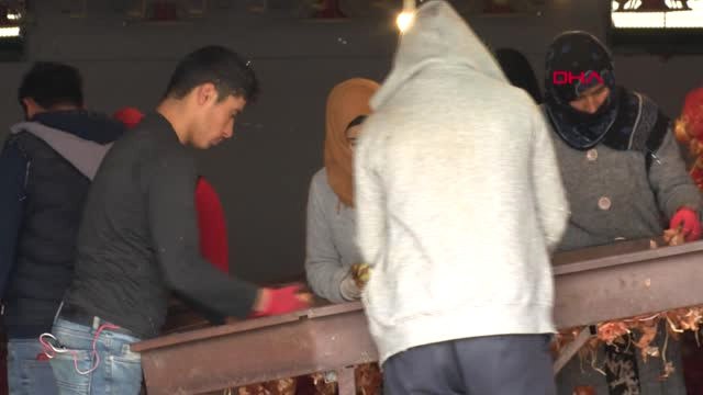 Ankara'da 3 Bakanlık Yetkililerinden 'Soğan' Denetimi-1