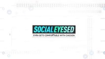Socialeyesed - Evra gets comfortable with raw chicken