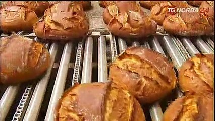 Una legge per il pane, eccellenza pugliese