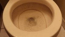 How I removed the brown ring in my toilet bowl easy and without chemicals.