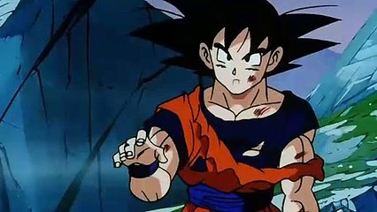 AVECES ES BUENO QUE LOS TERRÍCOLAS CARGUEN CON SU RESPONSABILIDAD