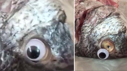 ಮೀನು ಖರೀದಿ ಮಾಡುವ ಮುನ್ನ ಒಮ್ಮೆ ಯೋಚಿಸಿ | ಈ ವಿಡಿಯೋ ನೋಡಿ  | Oneindia Kannada