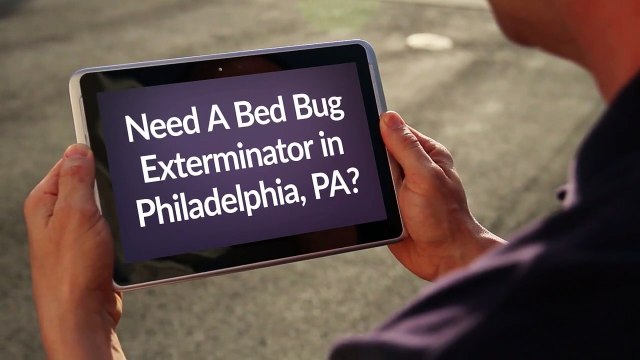 OCP Bed Bug Exterminator in Philadelphia PA - Bed Bug Removal