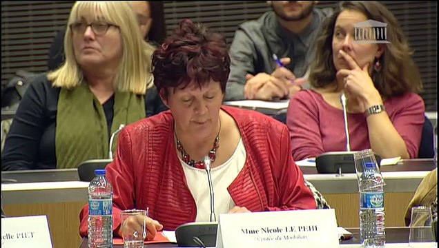 Délégation aux droits des femmes : Colloque sur les violences conjugales : « parler, accompagner, sanctionner » - Mercredi 21 novembre 2018