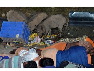 ജന്മഭൂമിയുടെ ചിത്രത്തിന്റെ സത്യാവസ്ഥ ഇതാണ് | Oneindia Malayalam